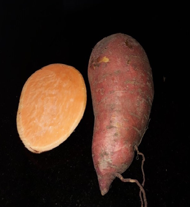 Ipomoea batatas - Foto: Mirjam Lemmens